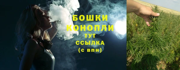 амф Белокуриха