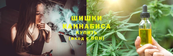 амф Белокуриха