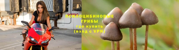 скорость Пересвет