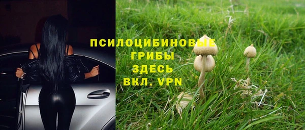 амф Белокуриха