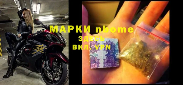 стаф Осинники